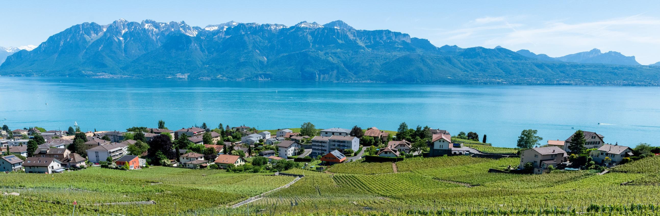 Vaud